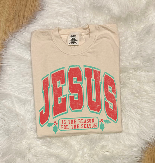 Jesus Is The Reason Tee - Comfort Colors